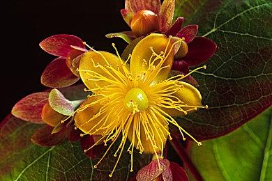 Remedy宣布《控制2》进入全力开发阶段