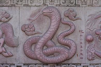 XGP只能游玩《使命召唤21》单人战役 无法游玩多人和僵尸模式